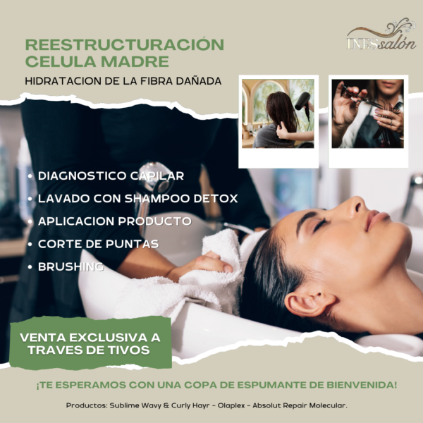 Renovación Capilar